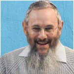 הרב דוד לנדאו